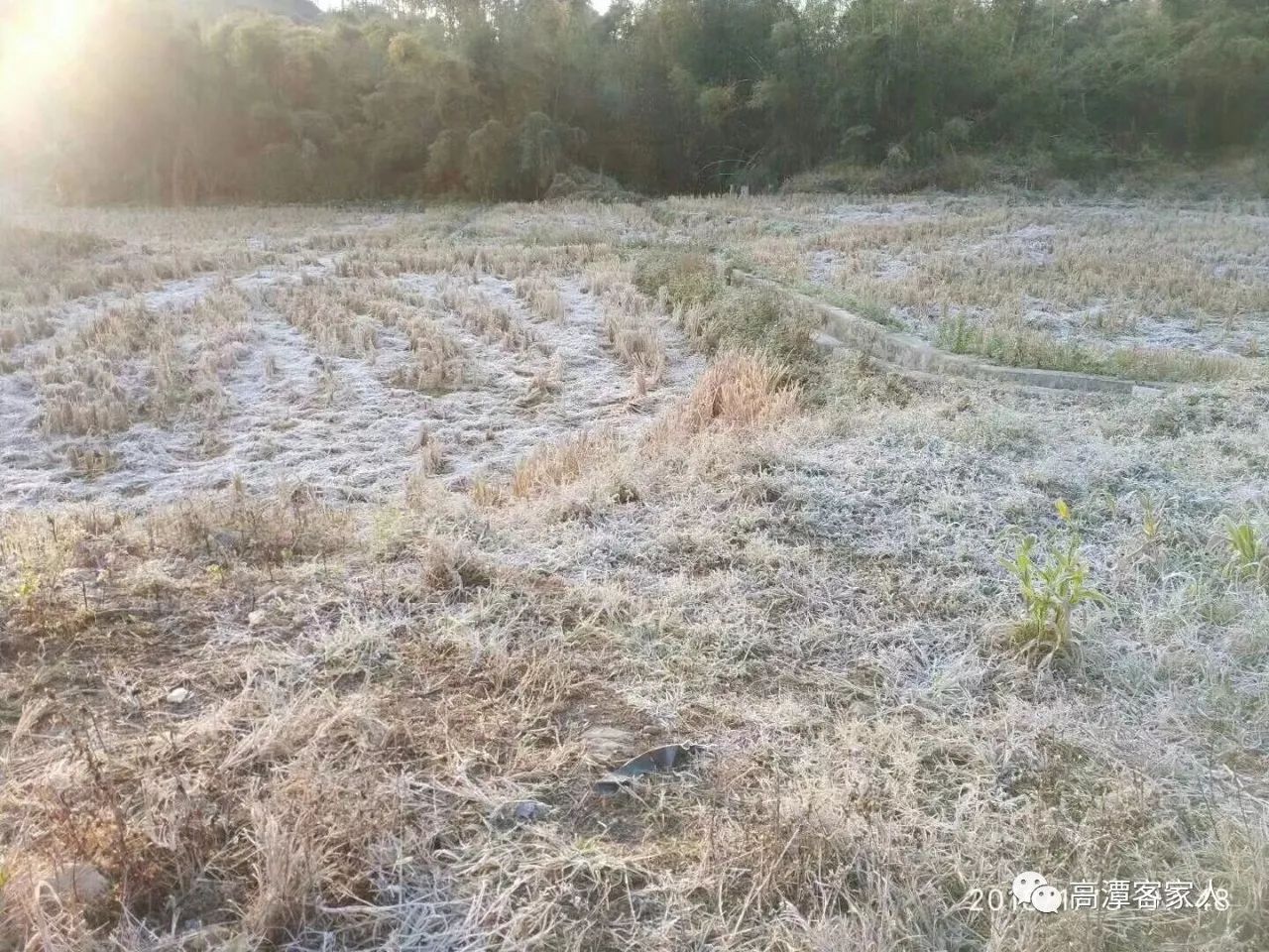 昨天早上,北京时间,早晨接近八点,空地里下满了霜!