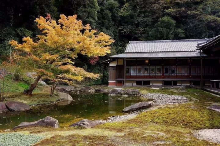 山川异域,风月同天:镰仓八大绝美古寺