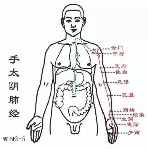 2,手厥阴心包经腧穴主治心,胸,胃,神志病及经脉循行部位的其他病症.