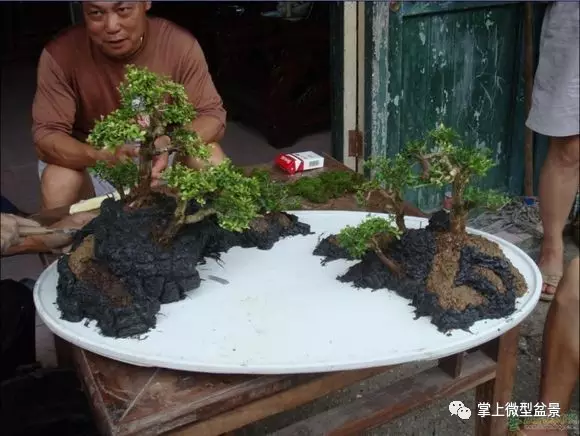 盆景大师制作山水盆景全过程,收藏慢慢学