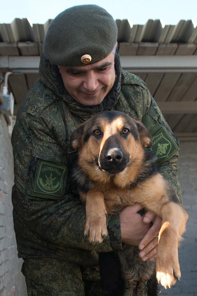 俄军一支特殊王牌部队:看萌萌哒的牧羊犬如何变身军犬