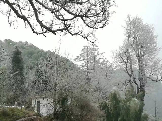 去南国第一雪山——建宁金铙山滑雪,冬天最不能错过的事