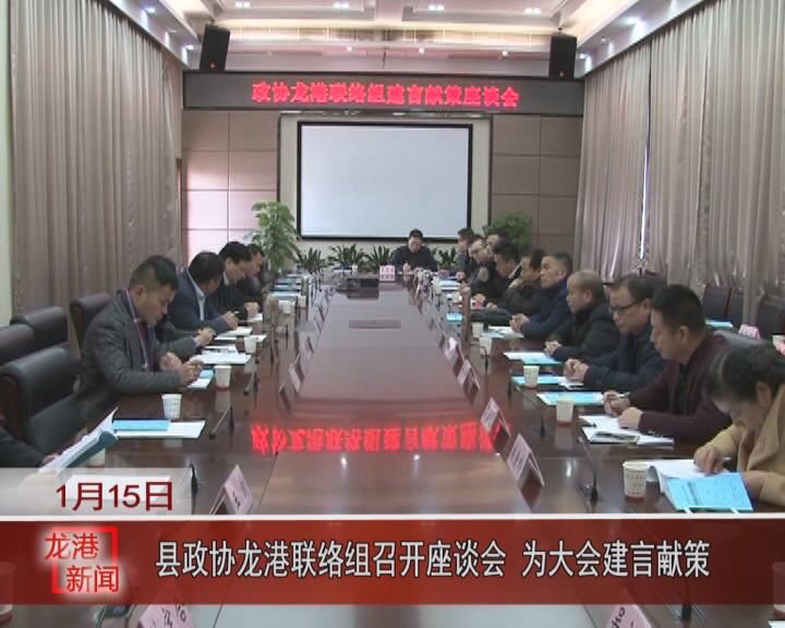 县政协龙港联络组召开座谈会 为大会建言献策