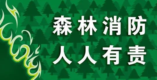 中国传统节日上坟烧香烧纸多,森林火灾进入高发期,也是森林防火的关键