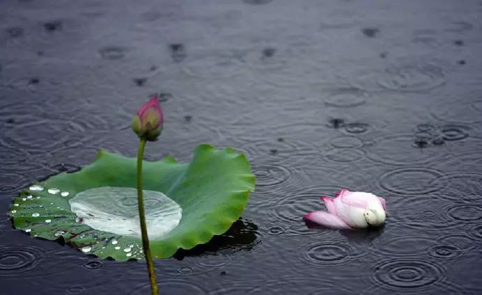 雅音|《相思风雨中》爱悠悠,恨悠悠,爱恨交织相思风雨