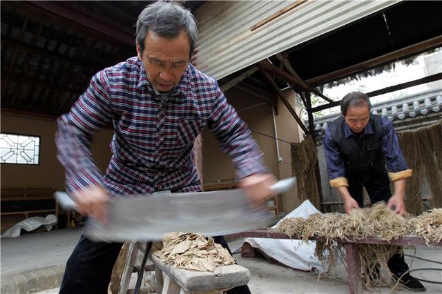 熊猫便便变成古色古香的蔡侯纸风靡全国文化圈