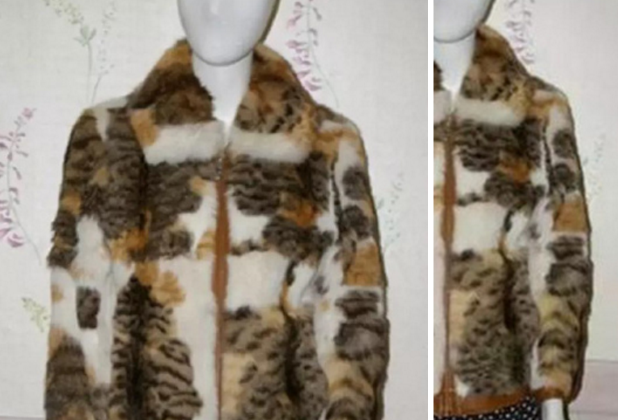韩国购物网站上架猫皮大衣,一件两千,或为流浪猫新产业