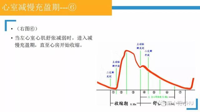 测量动脉血压的原理是什么_肱动脉测量血压图片