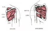 不得不说在这个肩袖强化动作上我也犯了错误