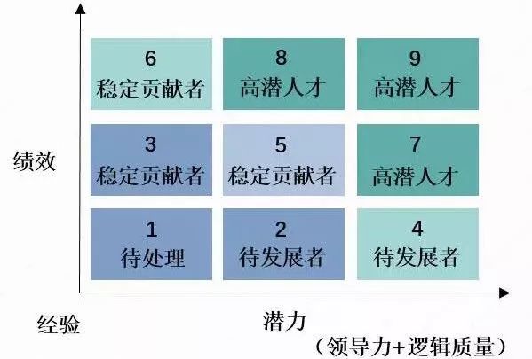 (1)双维度人才九宫格