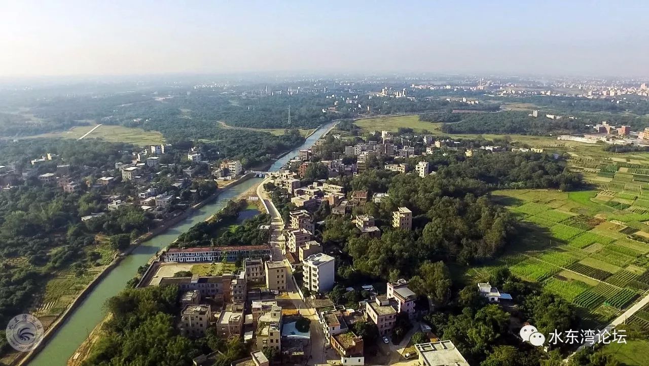 魅力林头电白新添一道靓丽的风景线市委书记李红军都过来点赞