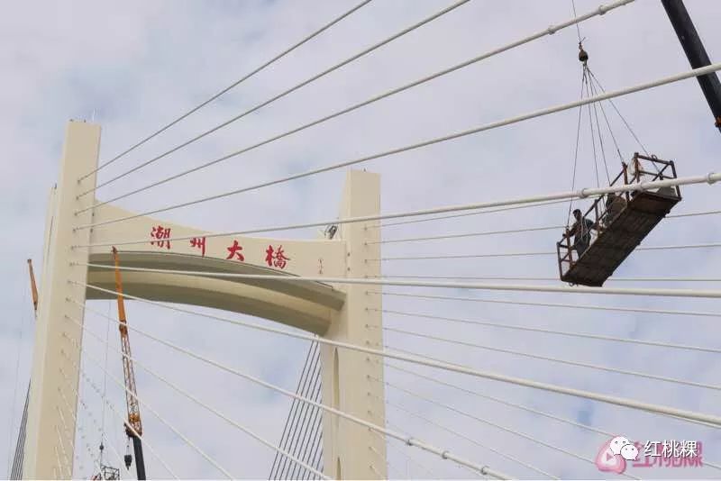潮州大桥,如意大桥今天通车了(附直播视频 现场美图)