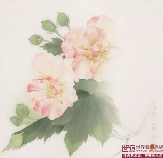 印象| 成都哪里有大片芙蓉花?终极答案在这里