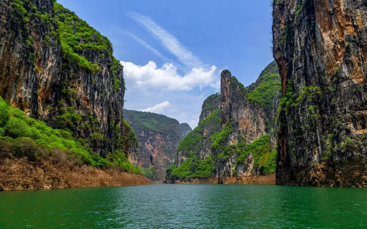 图源/水城县旅游局 野鸡坪 有高山草场,杜鹃