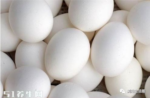 白皮鸡蛋和红皮鸡蛋到底有什么区别?