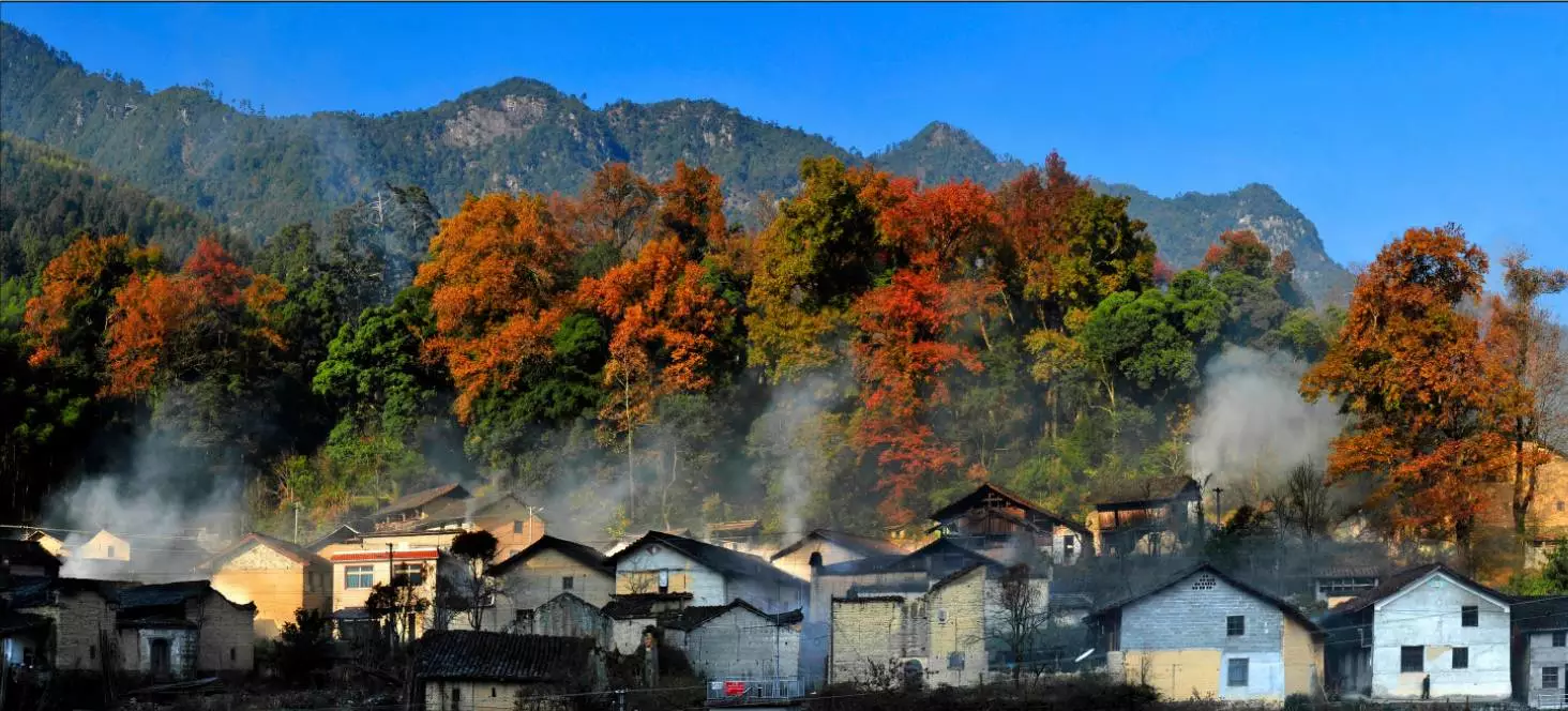 丽水龙泉·官埔垟村