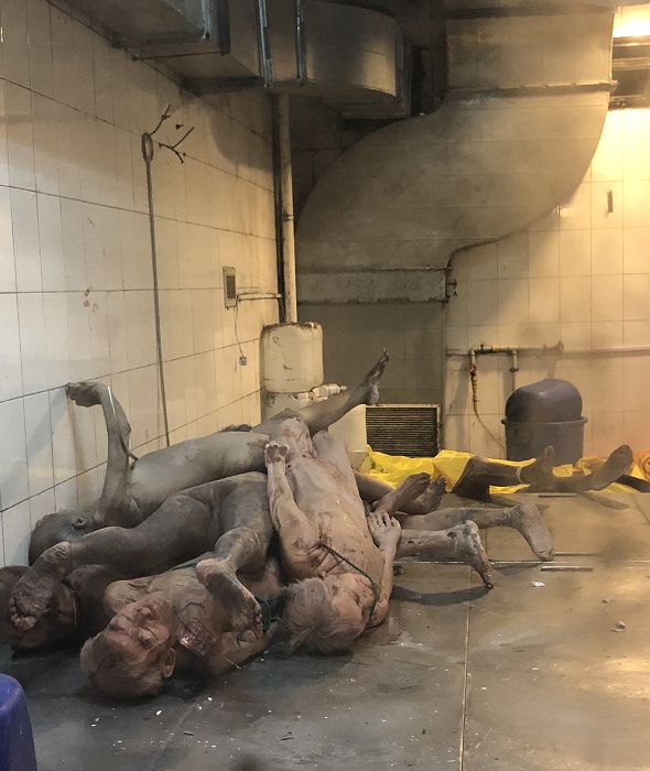 上海同x大学医学院内被任意摆放的尸体,现场一度以为是"人体模型"