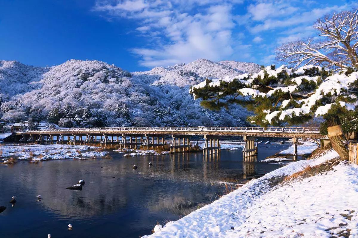 日本雪季最潮玩法,都在这里了!