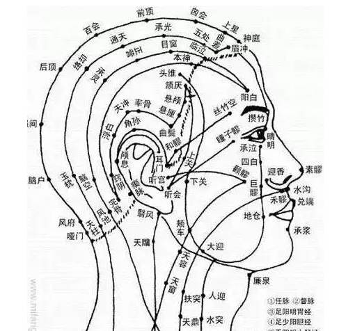 面部有哪些经络?