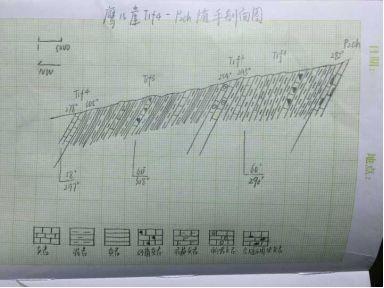 方位之上,并用相应的产状和岩性等符号用面图的形式表达各地层特征