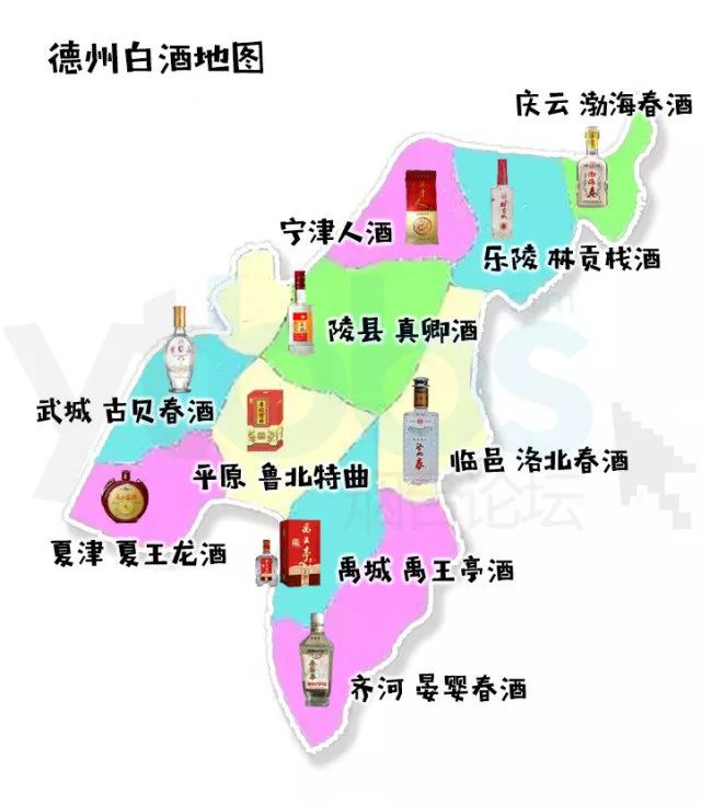 山东省傅氏全国人口有多少_全国老人有多少人口(2)