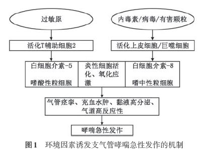 支气管哮喘急性发作评估及处理看最新中国专家共识怎么说