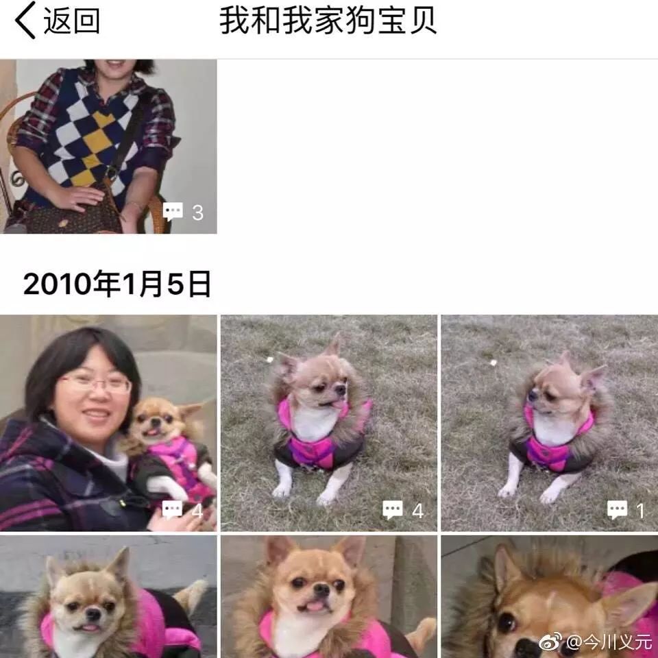 追了几天成都虐狗事件的我坚定的认为,何兴丽很冤!