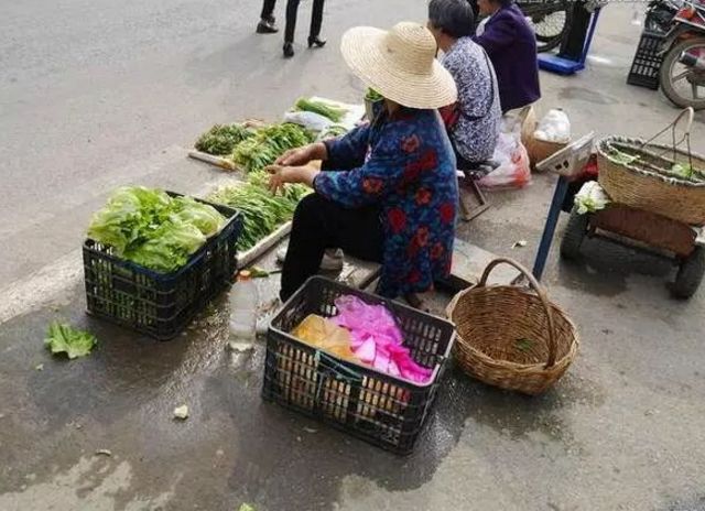 社会 正文  1月13日,城固一卖菜老人在城固县解放街路边卖菜,遭遇一