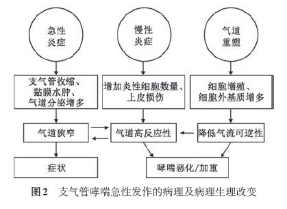 支气管哮喘急性发作评估及处理看最新中国专家共识怎么说