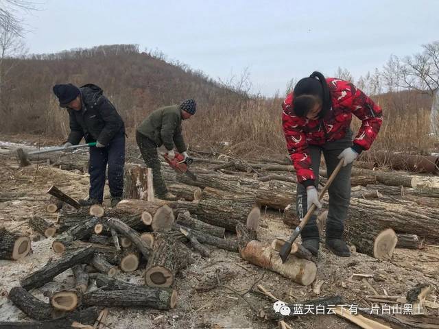 先用油锯锯成一段一段的,长度掌握在半米左右,然后再用斧子劈出来.