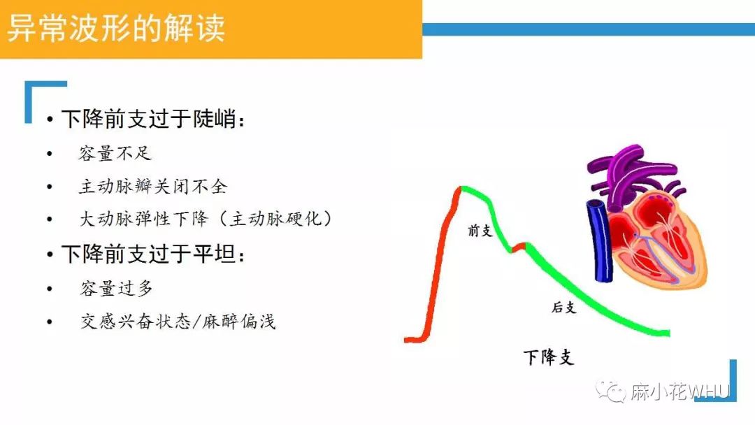 测量动脉血压的原理是什么_肱动脉测量血压图片