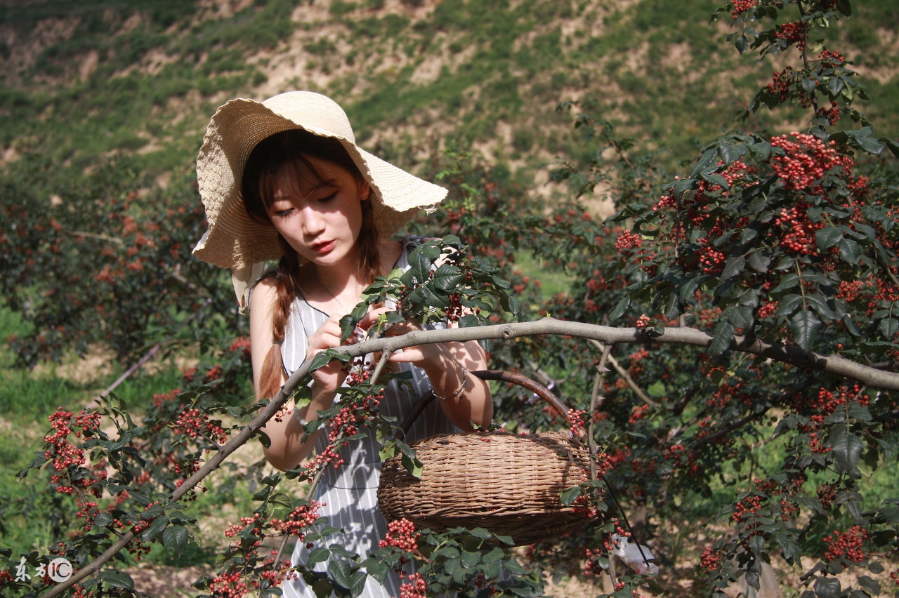 域外风情 越南女人(2)[55P]|MM 写真 - 武当休闲山庄 - 稳定,和谐,人性化的中文社区