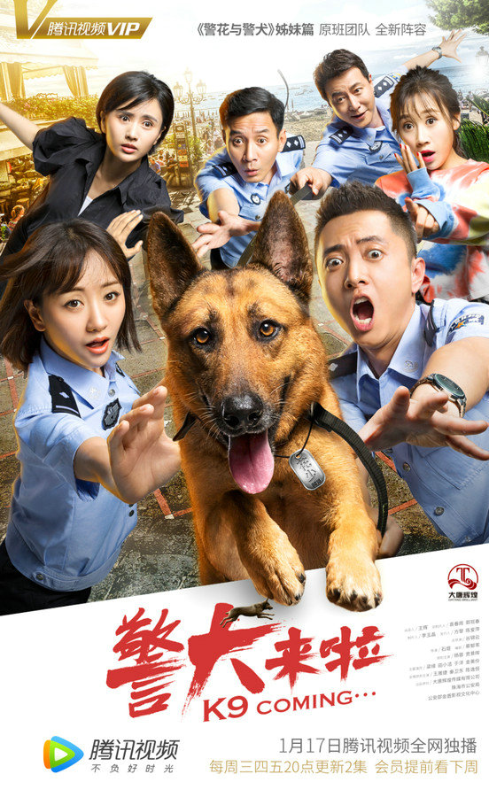 《警犬来啦》定档1.17 杨蓉开年上演温暖人犬情