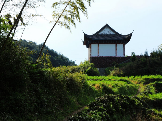 仙居历年人口_仙居杨梅图片