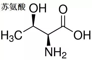 氨基酸家族(连载十七苏氨酸)