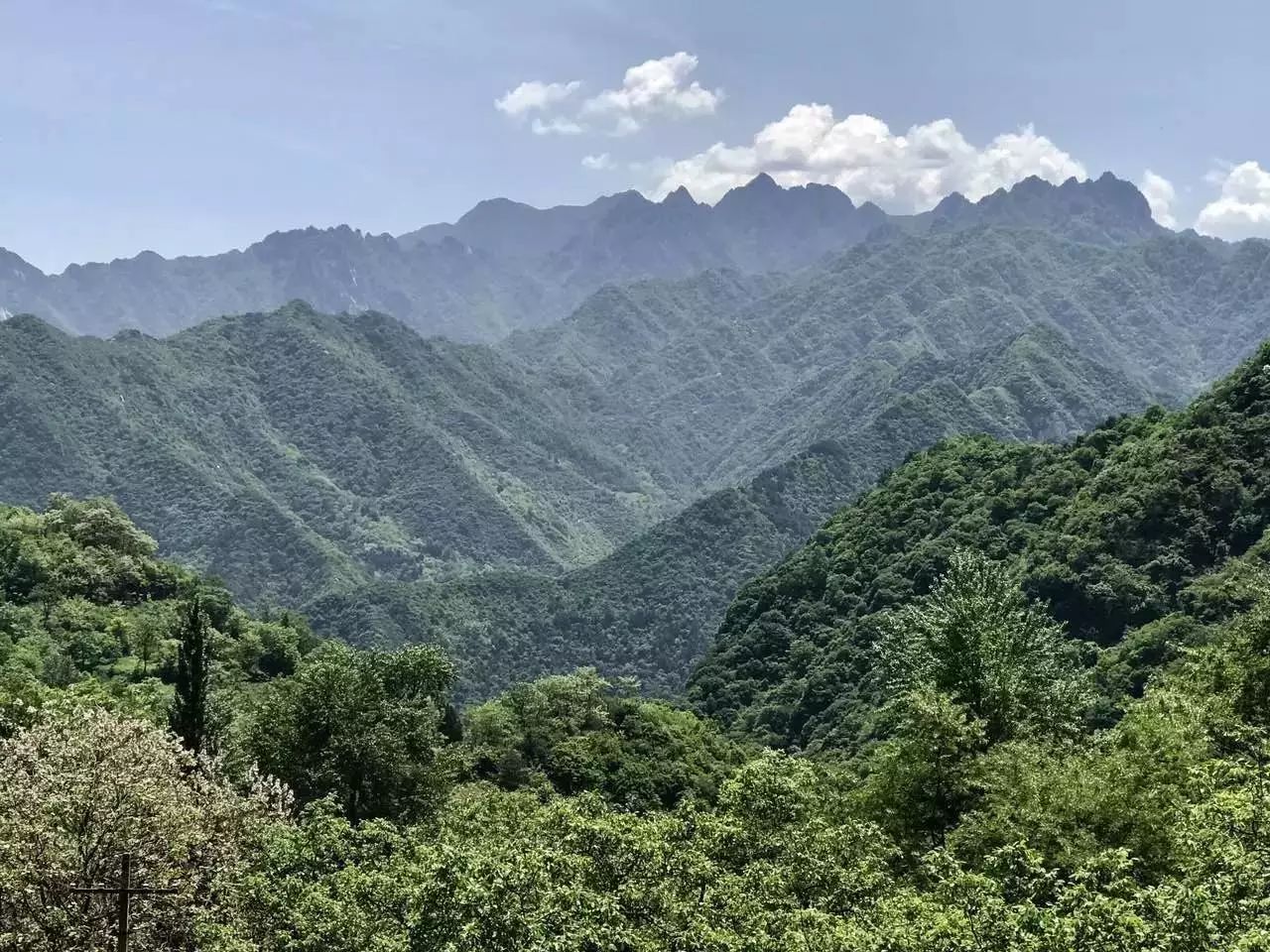 借山而居背后他独居深山小院5年春有百花秋有月夏有凉风冬有雪