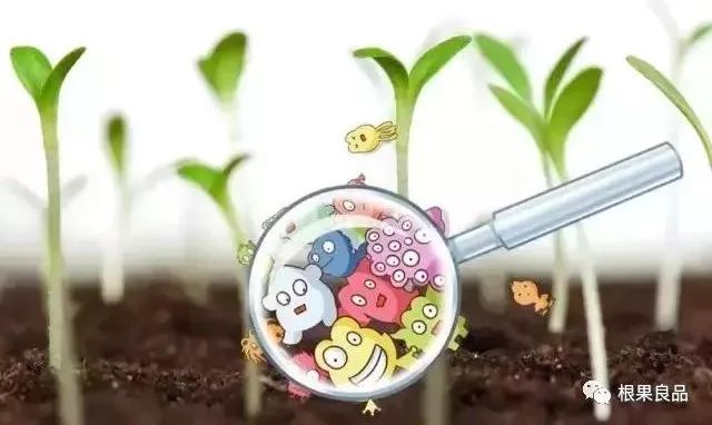肥料可以使土壤中的微生物大量繁殖,特别是许多有益的微生物,如固氮菌