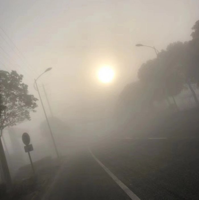 今天早上有没有被大雾迷住眼, 是不是感觉不开导航都不分东西, 再来