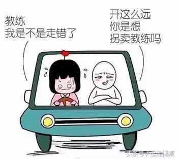 练车时,教练的经典语录_搜狐搞笑_搜狐网