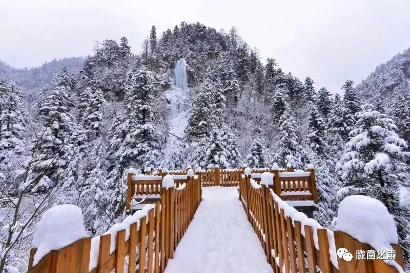 陇南台 宕昌旅游监制:杨东红 责任编辑:王伟毅 编辑:叶仰