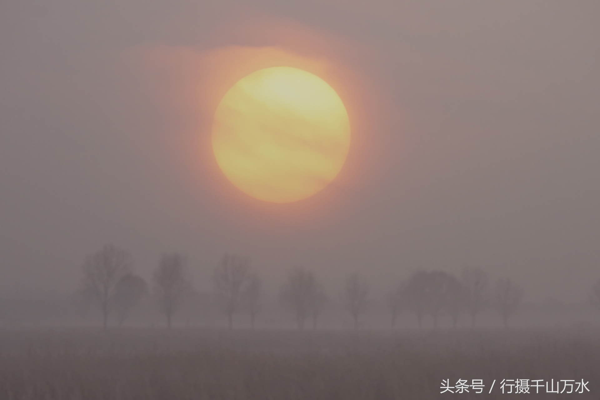 十面霾伏,雾霾下的济北龙湖湿地,朦朦胧胧犹如水墨画