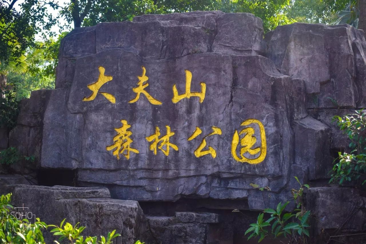 大夫山森林公园,被称为 "番禺的氧吧",总面积约 9000亩,可以说是广州