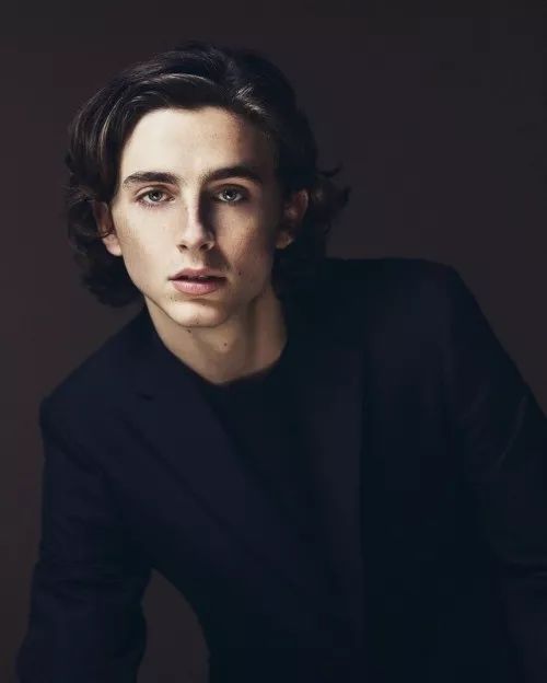 (timmy,甜茶)timothee chalamet蒂莫西·柴勒梅德《伯德小姐》导演