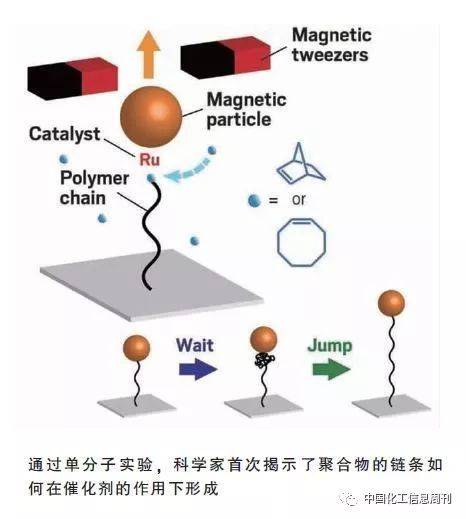 返回搜狐，查看更多