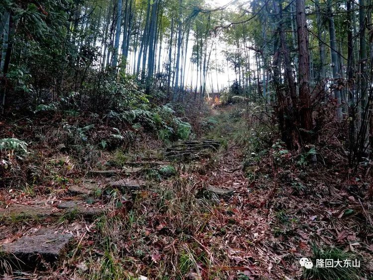 荷田乡镇人口_会昌县乡镇人口分布图