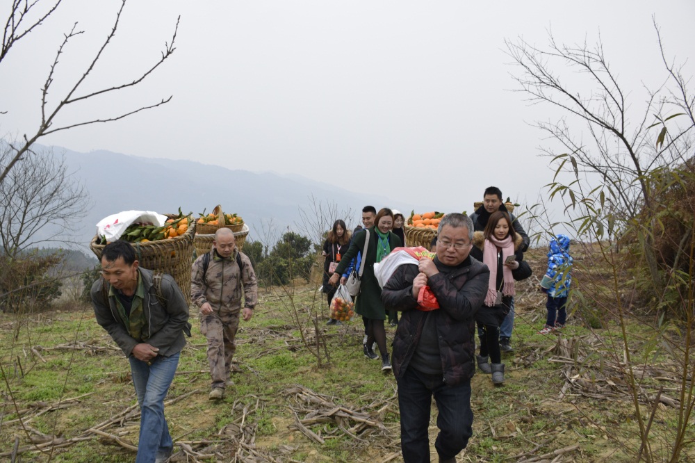 赤水市有多少人口_游遍大地山水,醉美神秘赤水,赤水城市风光集锦(3)