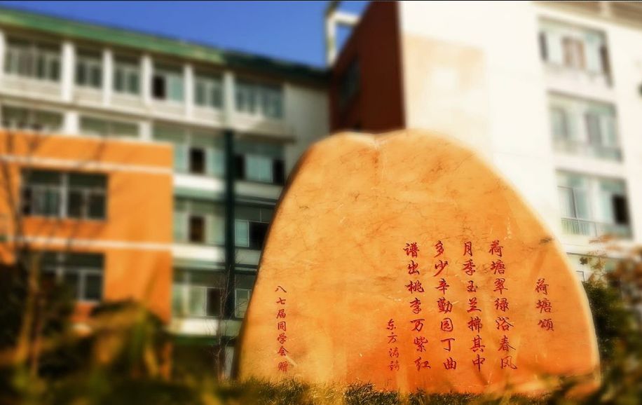 近日,义乌市第四批"美丽校园"创建评比活动结束,我市16所中小学,幼儿