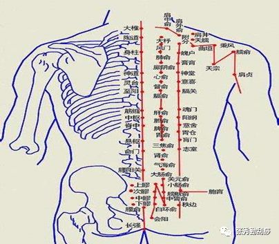 总计5分钟)刮痧诊断( 耗时1分钟):结合病史背部督脉,膀胱经刮痧诊断