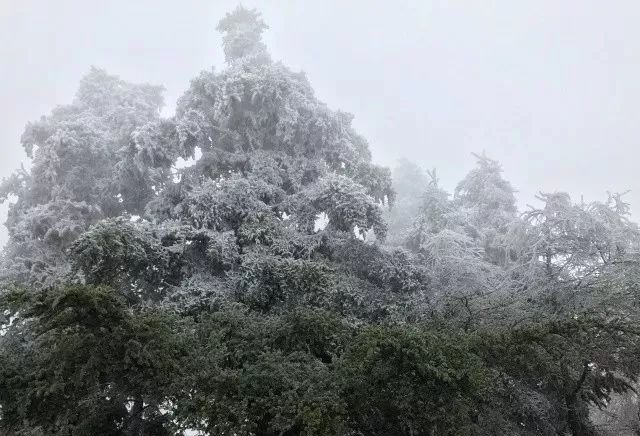 【悦读】山中雪后 | 井冈山雪景