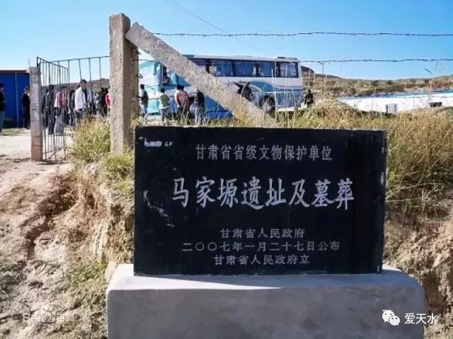 天水马家塬出土的千年"豪车"竟与义渠王有关系?